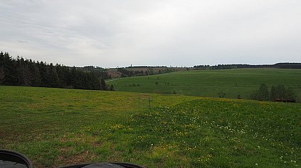 Ein Überblick über eine Weide im Harz. 