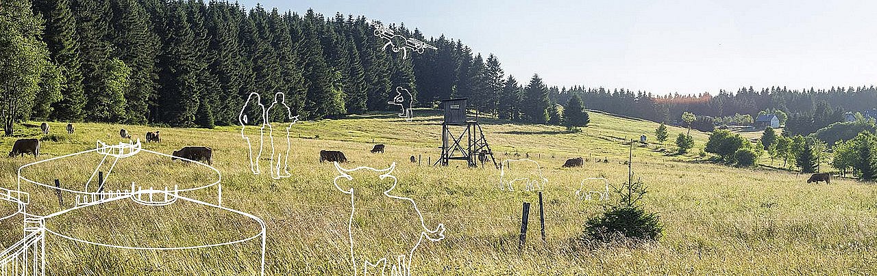 Überblick über eine Grünlandwiese mit einem Wald im Hintergrund. Graphisch sind weidende Kühe, ein Landwirt und eine Landwirtin mit einer fliegenden Drohne und ein Holzfäller im Hintergrund zu sehen.