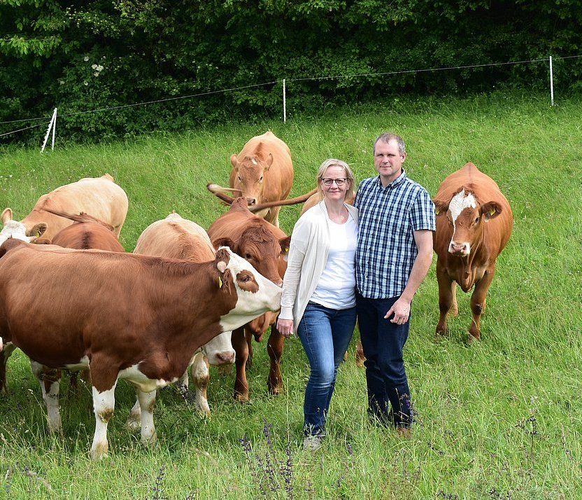 Ehepaar steht mit Kühen auf der Weide