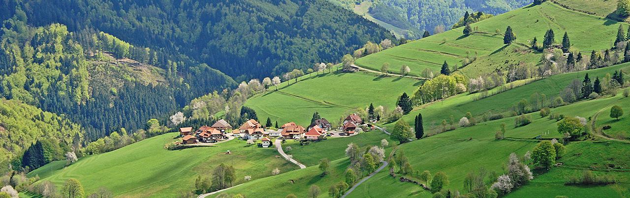 Aussicht auf ein Tal im Mittelgebirge mit Wohnhäusern und extensiv genutzem Grünland.